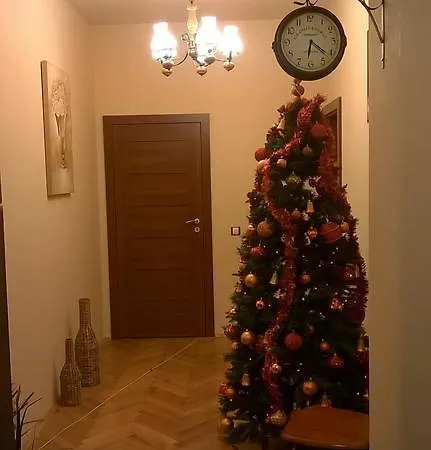 Tip Economic Mozart *