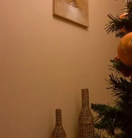 Tip Economic Mozart Hostel Κλουζ-Ναπόκα