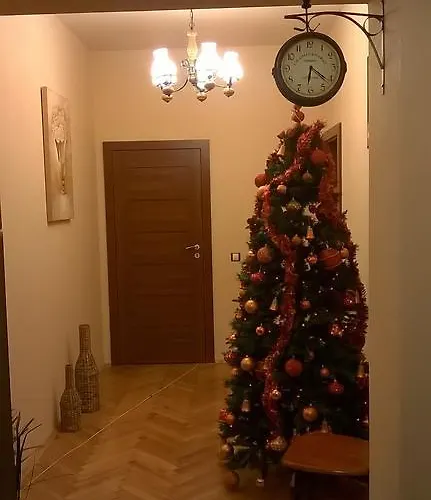 Tip Economic Mozart *