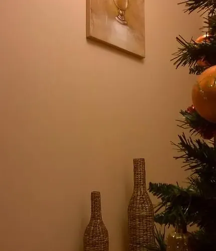 Tip Economic Mozart Ostello Cluj-Napoca